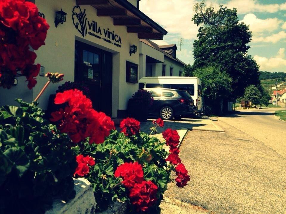维尼察住宿加早餐旅馆 Limbach 外观 照片