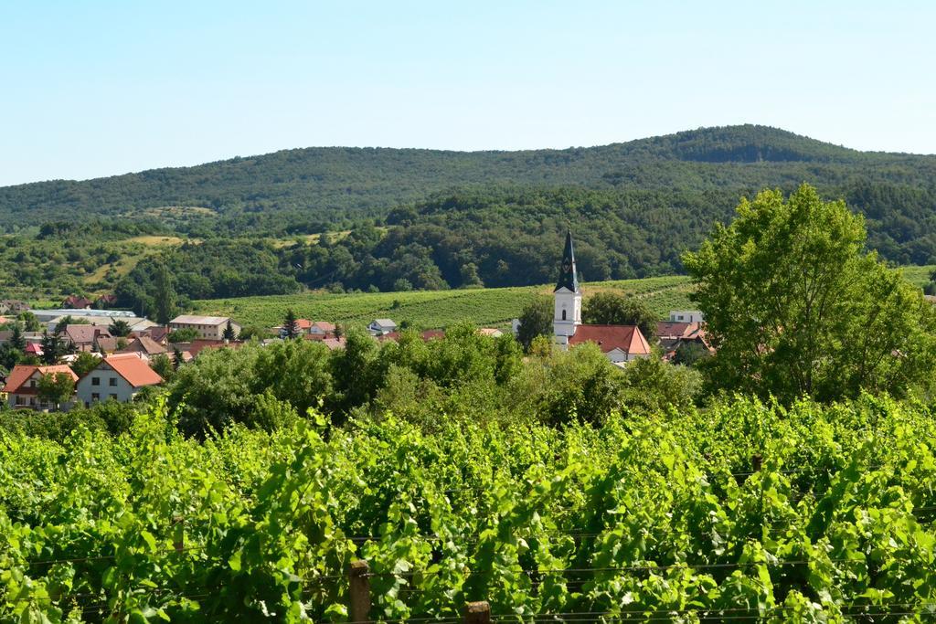 维尼察住宿加早餐旅馆 Limbach 外观 照片