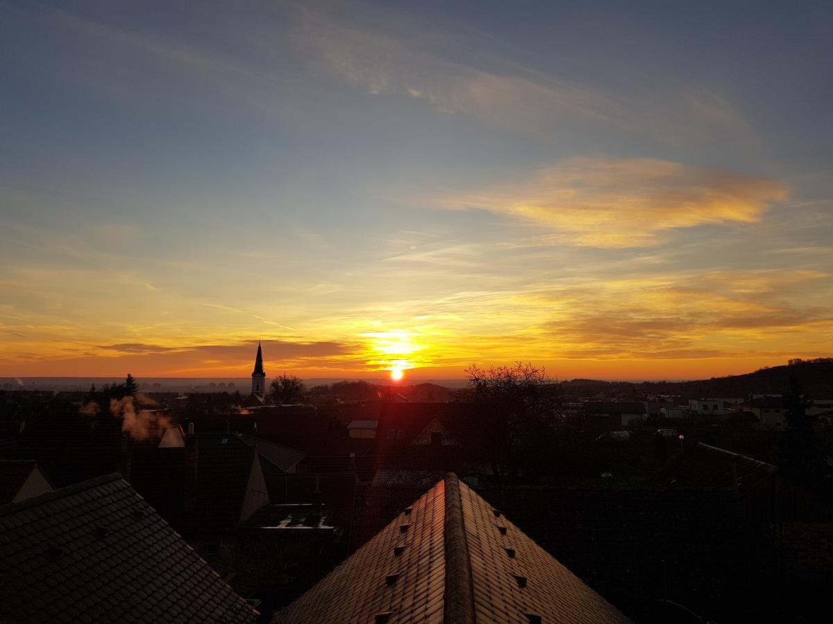 维尼察住宿加早餐旅馆 Limbach 外观 照片