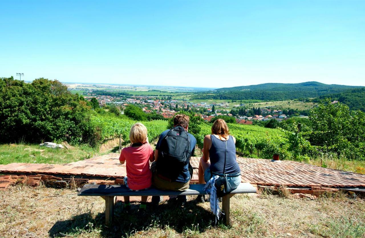维尼察住宿加早餐旅馆 Limbach 外观 照片